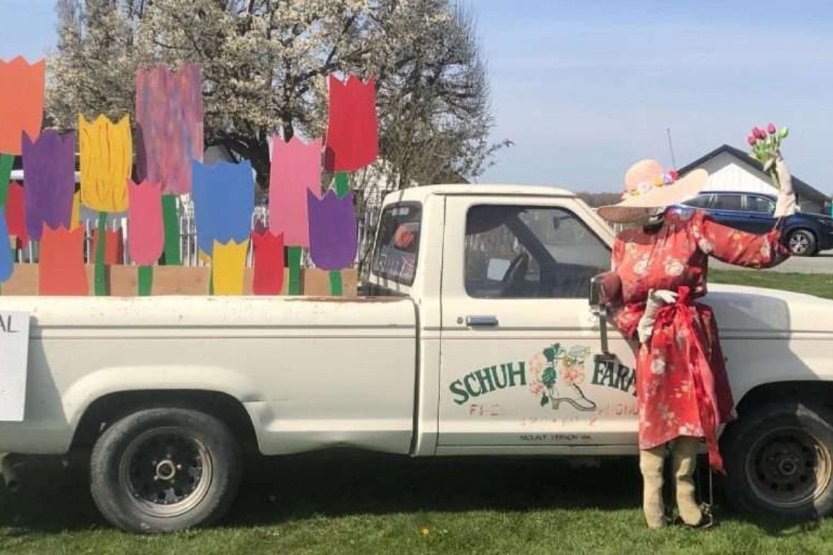 A white truck with the words "Schuh Farm" on the side, tulip cutouts in the truckbed, and a mannequinne wearing a dress in front.