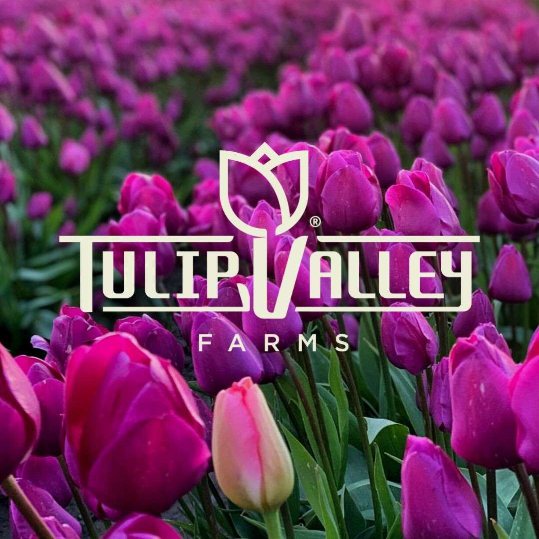 tulip valley farms logo