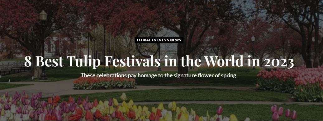 Skagit Valley Tulip Festival named “One of the Best in the World”