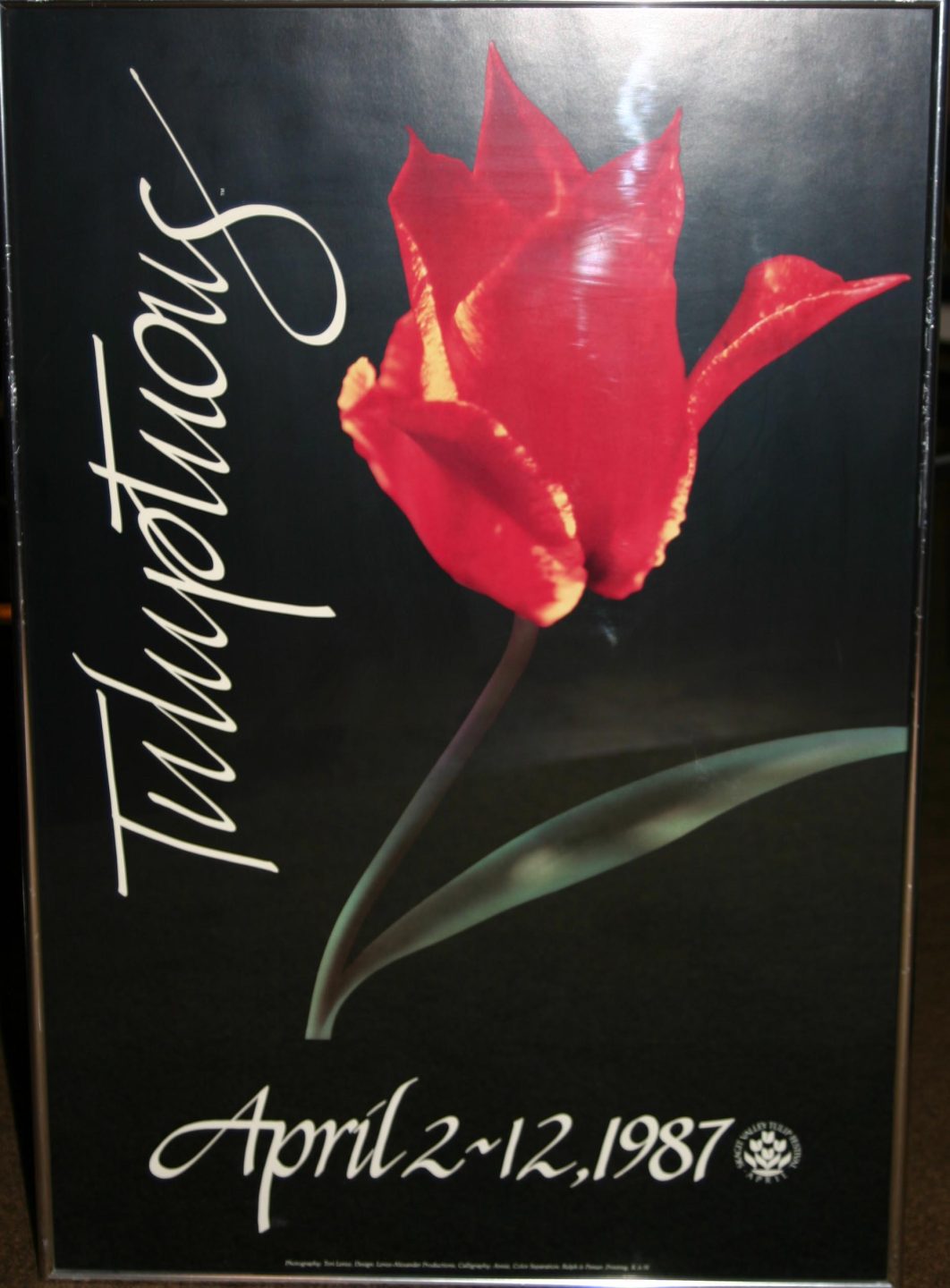 Artist: Karen Sistek