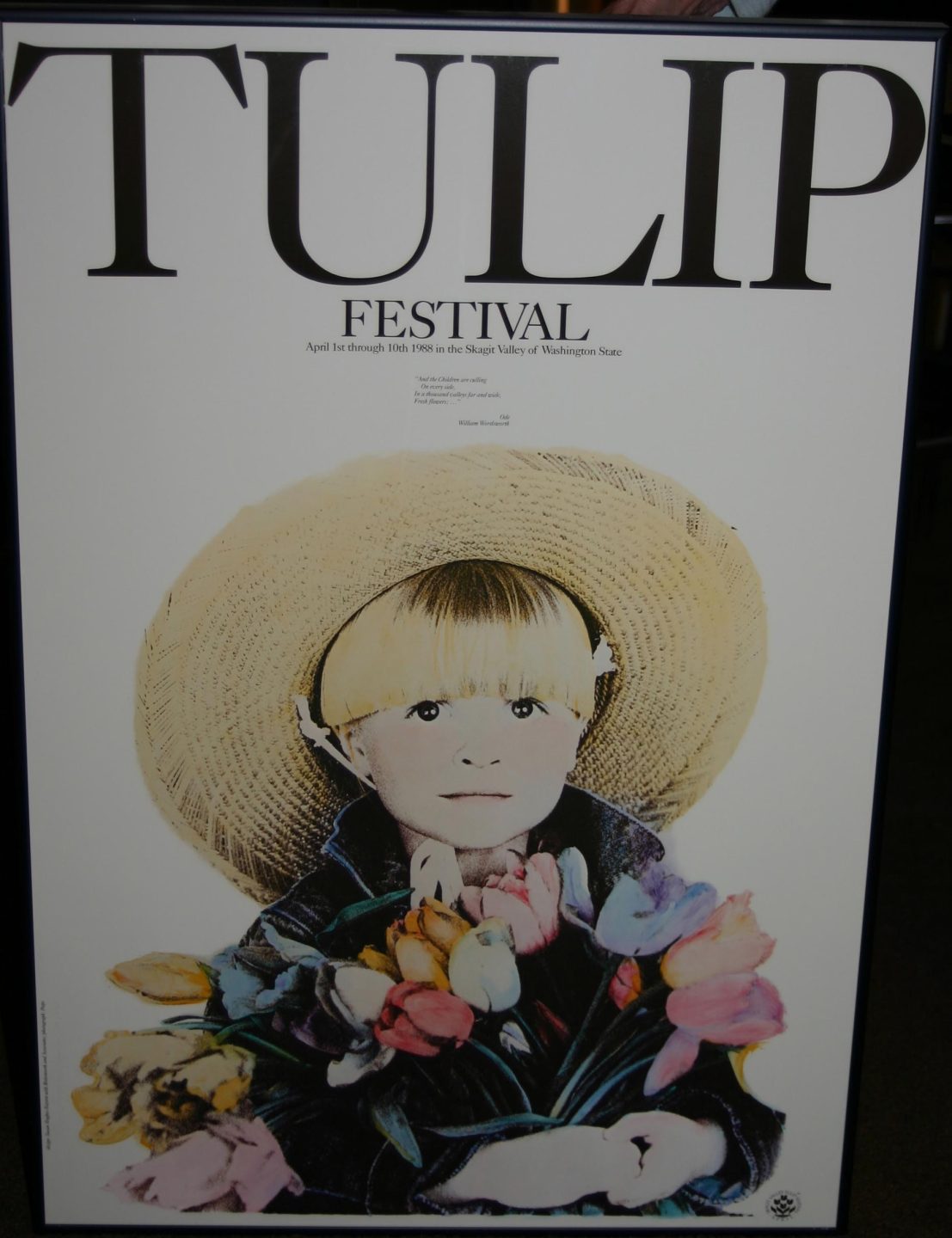 Artist: Luke Tornatzky