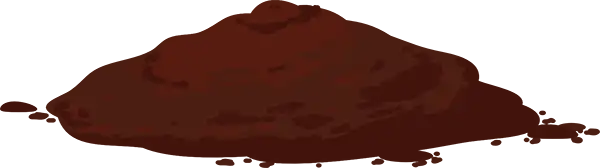 No bloom - off season