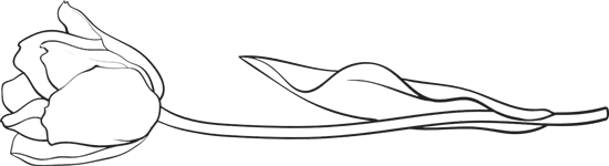 A simple black and white line drawing of a tulip with a long stem and leaves