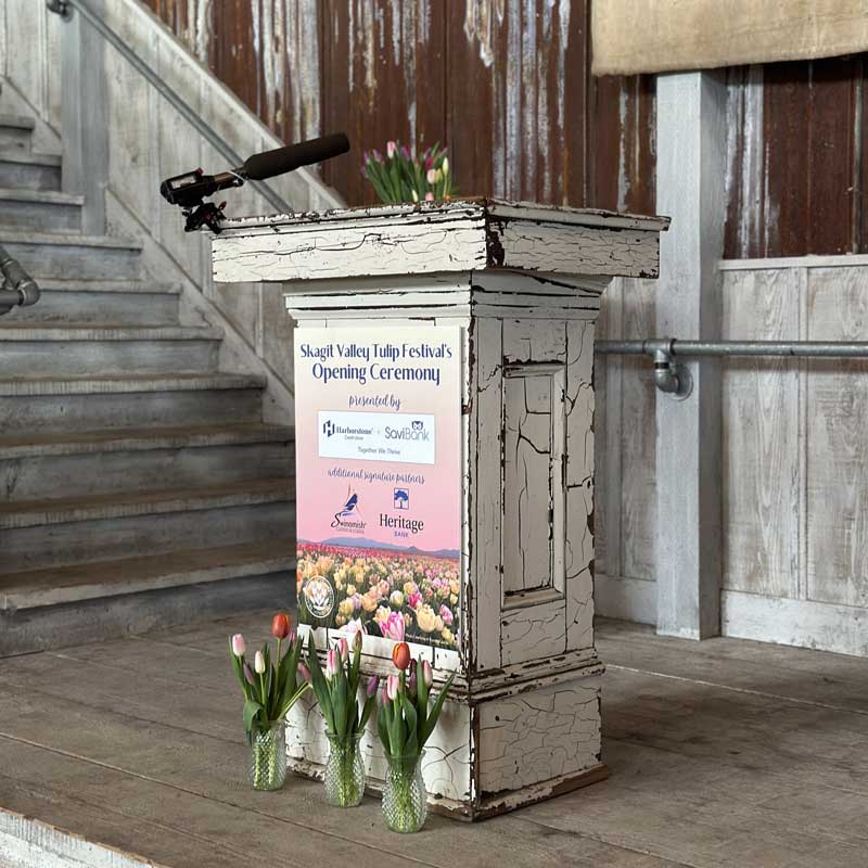 aerial view of tulip fields