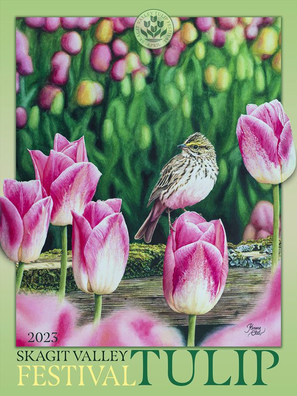 aerial view of tulip fields