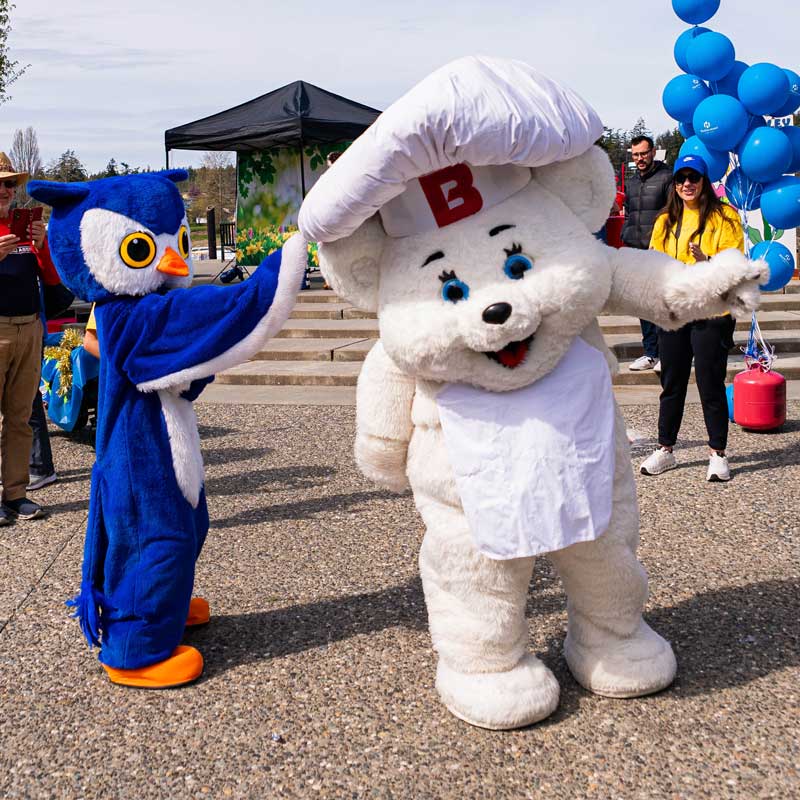 aerial view of tulip fields