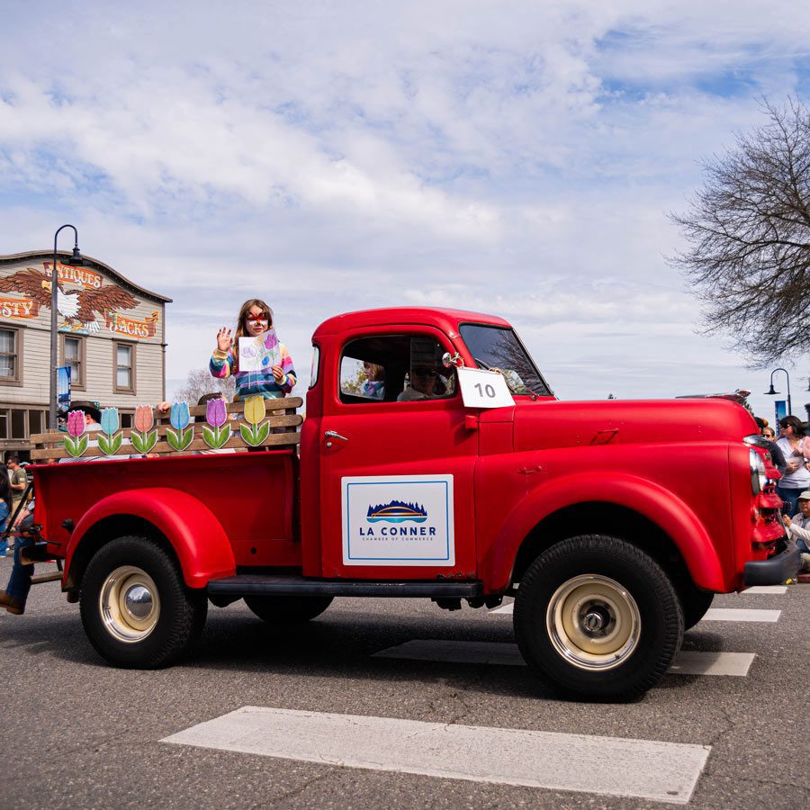 aerial view of tulip fields
