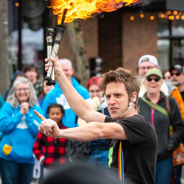 aerial view of tulip fields