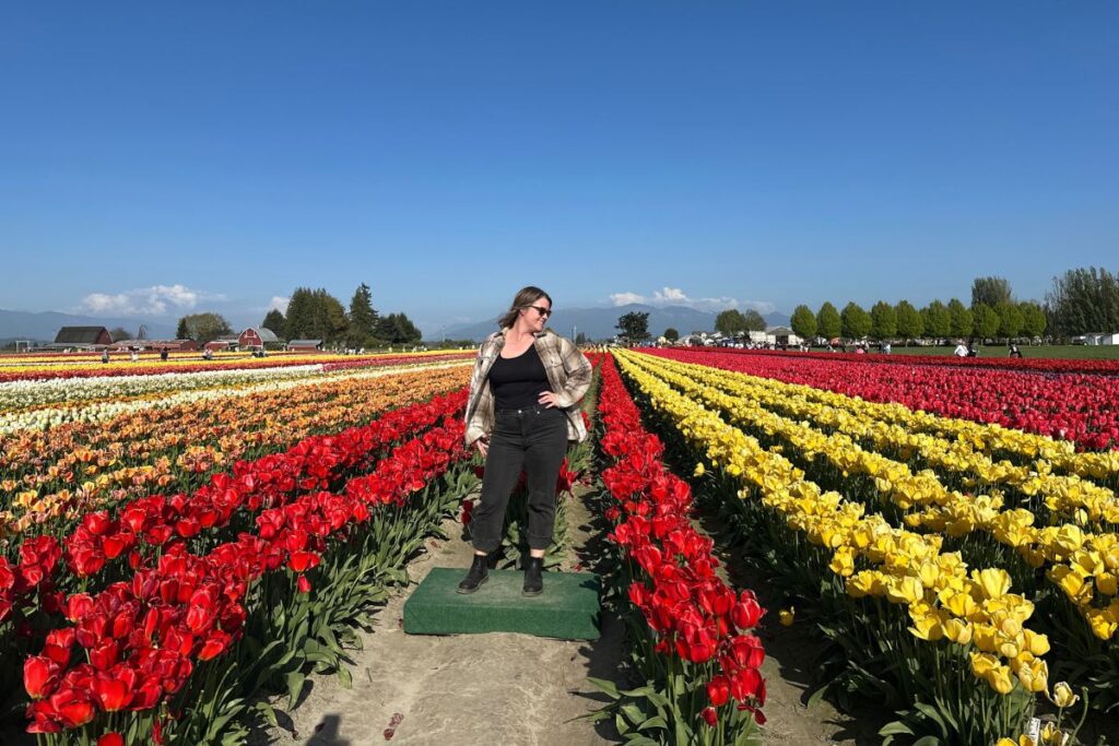 Visitor standing among rows of tulips at Tulip Town in Skagit Valley.