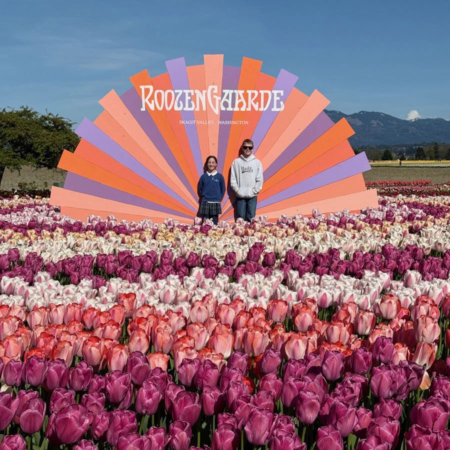 ambassadors-at-garden Tulip Field Image