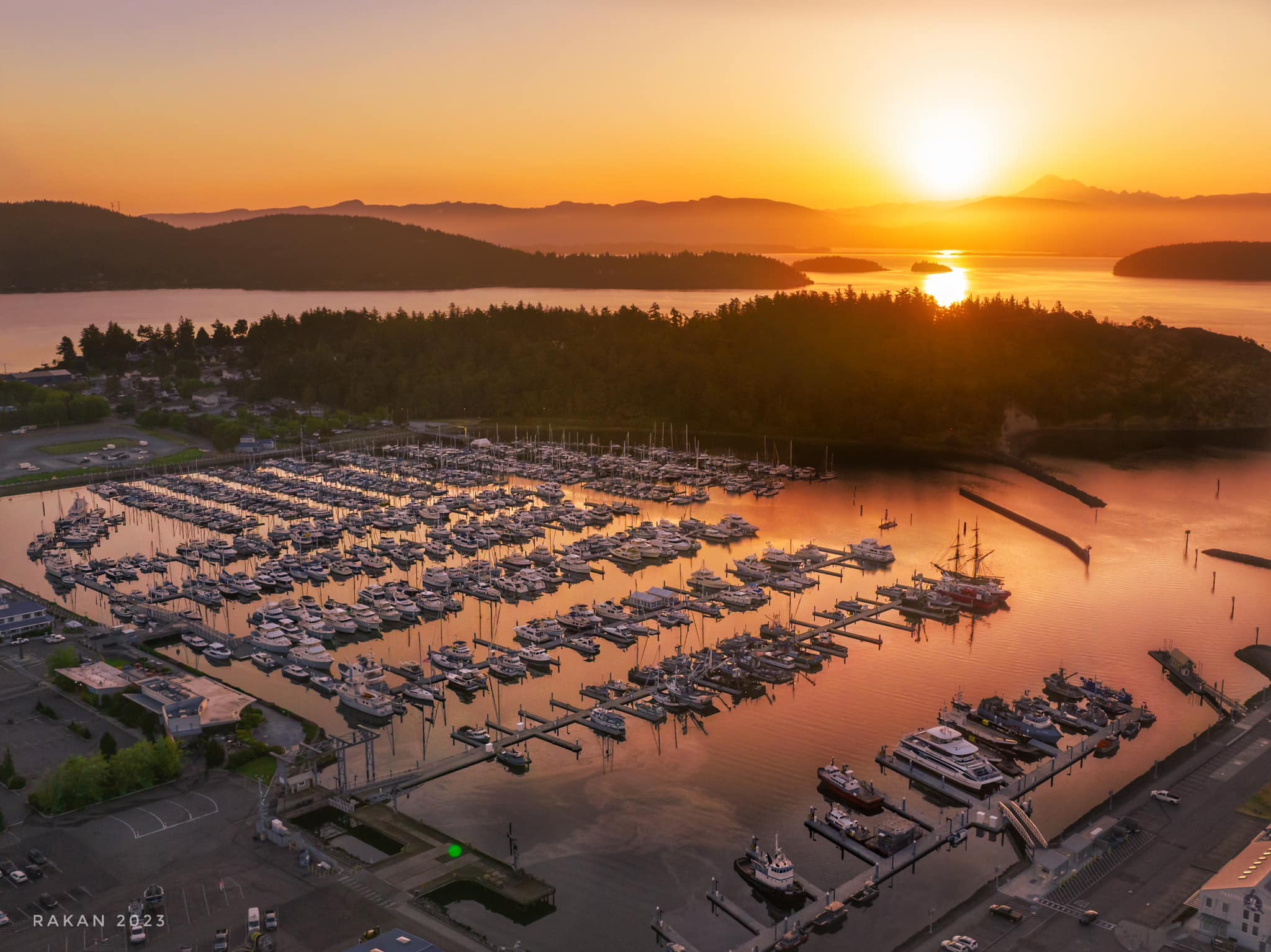 Things To Do in Anacortes for the Skagit Valley Tulip Festival